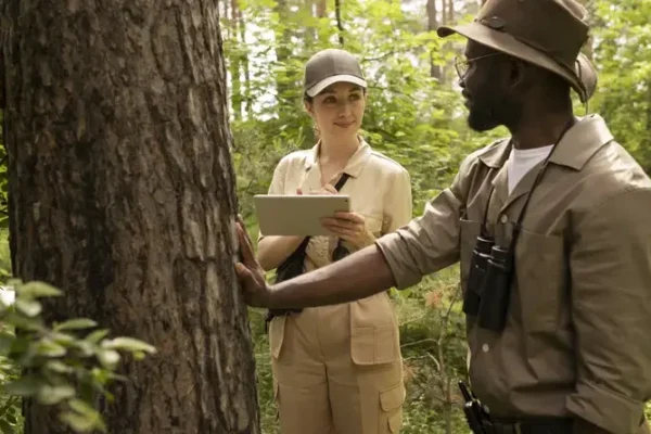 authority confirms oak island mystery solved