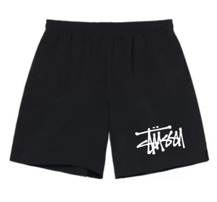 stussy shorts