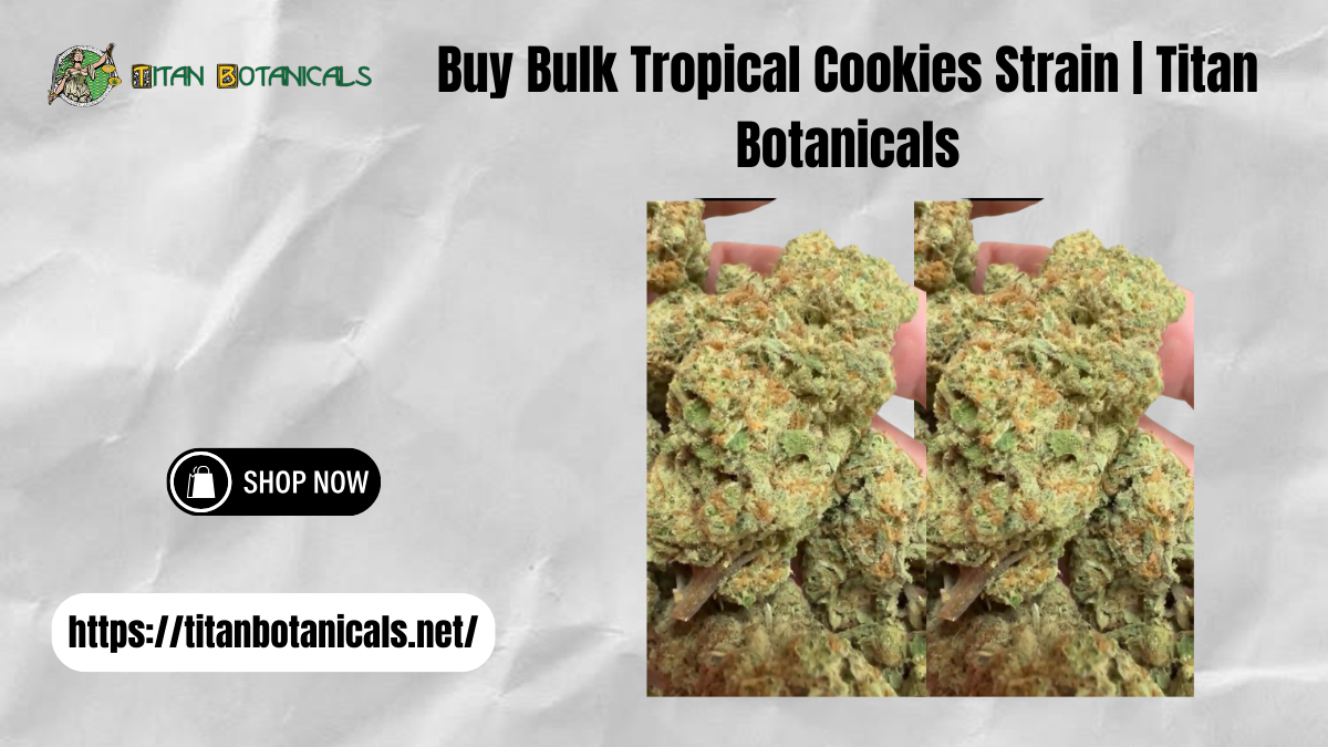 Bulk Tropical Cookies Strain