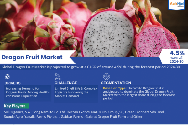 Dragon Fruit Market