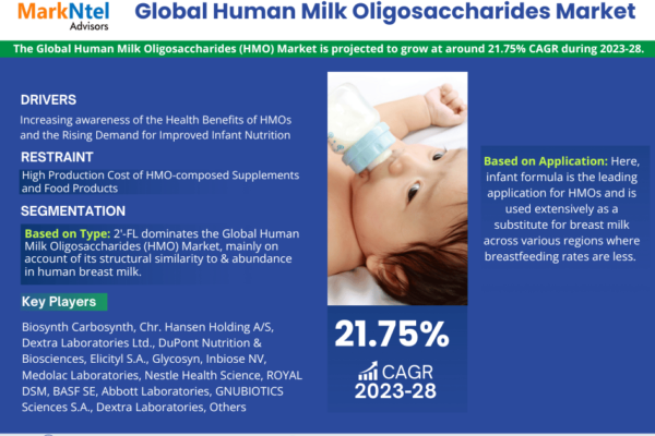 Human Milk Oligosaccharides (HMO) Market