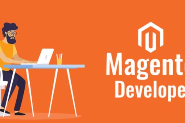 Magento Developers