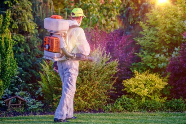 Residential pest control Lansing MI