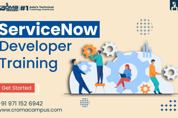 ServiceNow developer