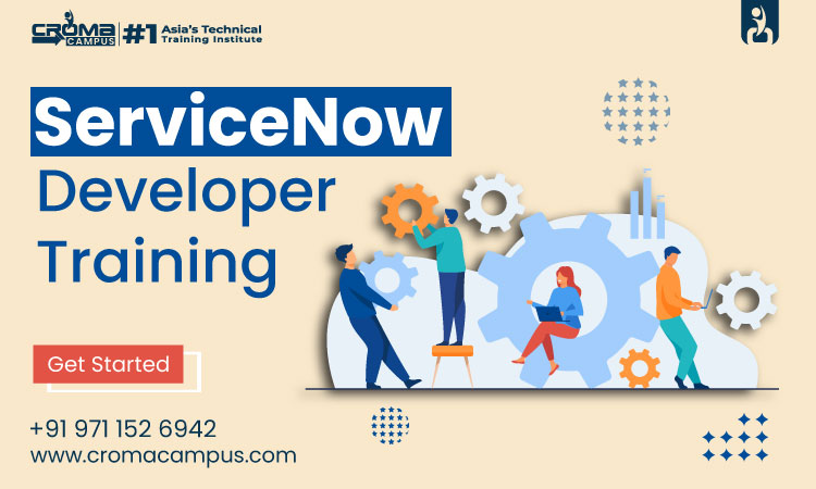 ServiceNow developer