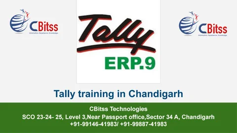 Tally training in Chandigarh