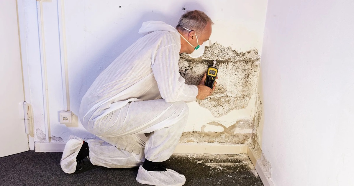 What Are The Benefits Of Conducting A Mold Test At Home