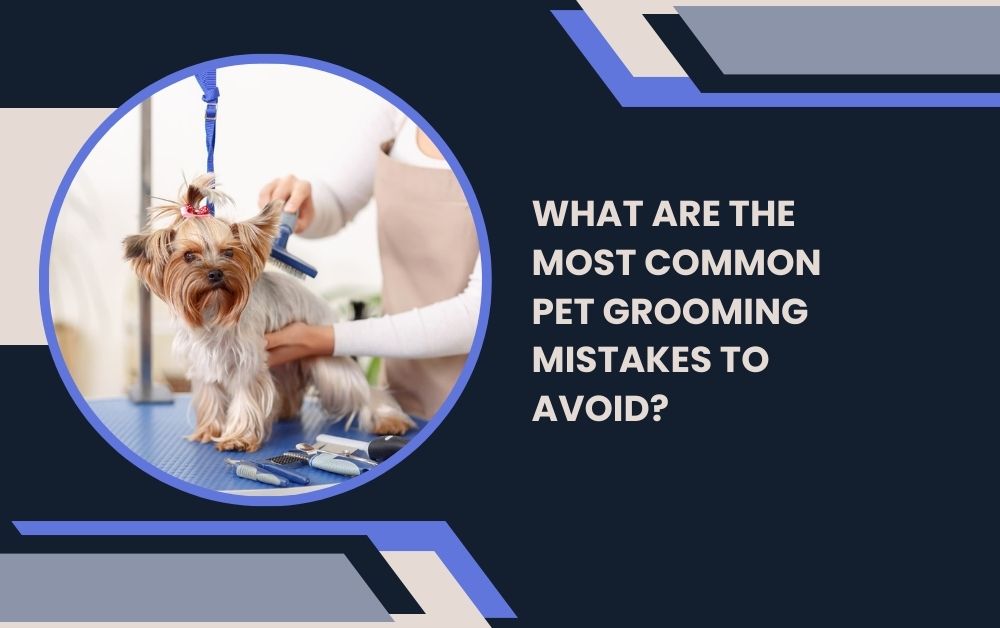 pet grooming in Dubai