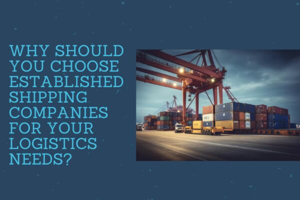 Why Should You Choose Established Shipping Companies for Your Logistics Needs