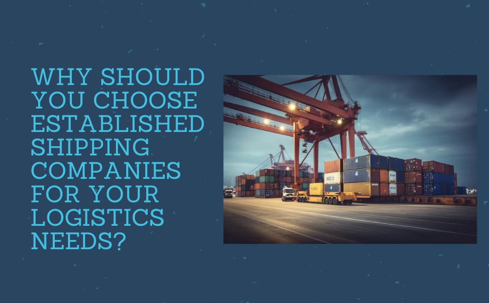 Why Should You Choose Established Shipping Companies for Your Logistics Needs