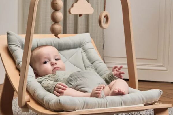 Best Baby Bouncer Jumper