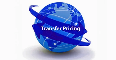 Best Transfer Pricing Services for Small and Medium Enterprises