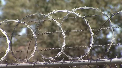 Razor Wire