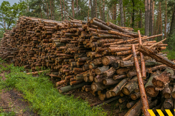 lumber is good for rainy weather