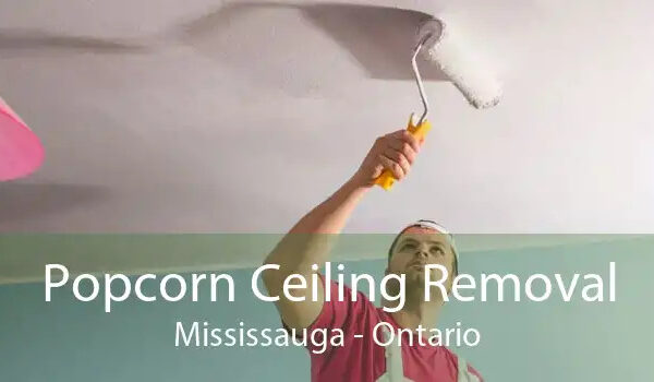 popcorn ceiling removal mississauga