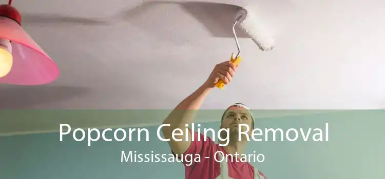 popcorn ceiling removal mississauga