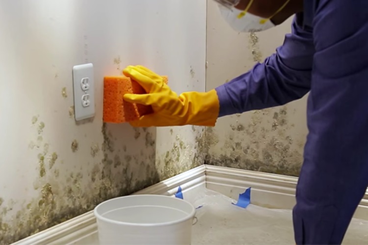 scrubbing wall with scrubber