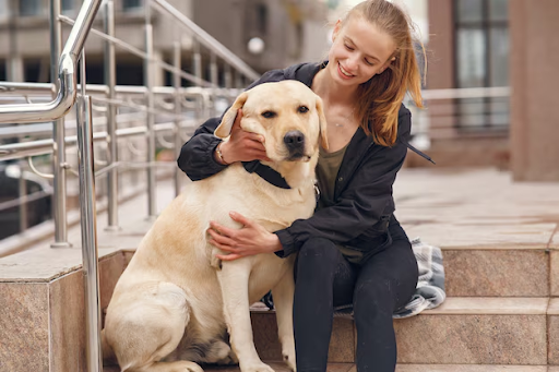 dog sitters new orleans