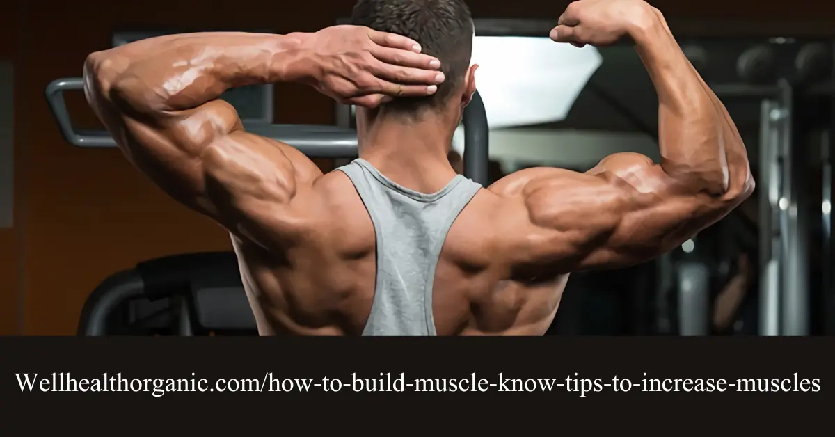 Wellhealthorganic.com/how-to-build-muscle-know-tips-to-increase-muscles Guide – Kongo Tech